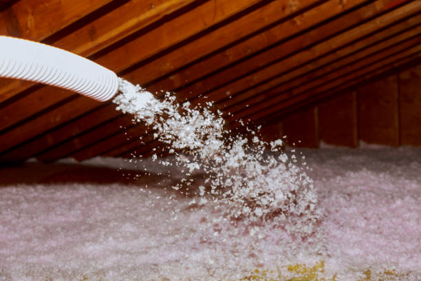 Best Insulation Materials and Products in Arapahoe, WY