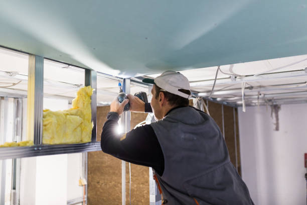 Best Insulation Maintenance and Repair in Arapahoe, WY