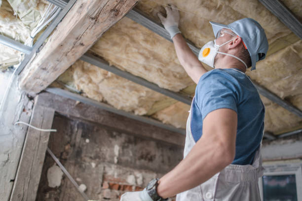 Best Commercial Insulation in Arapahoe, WY
